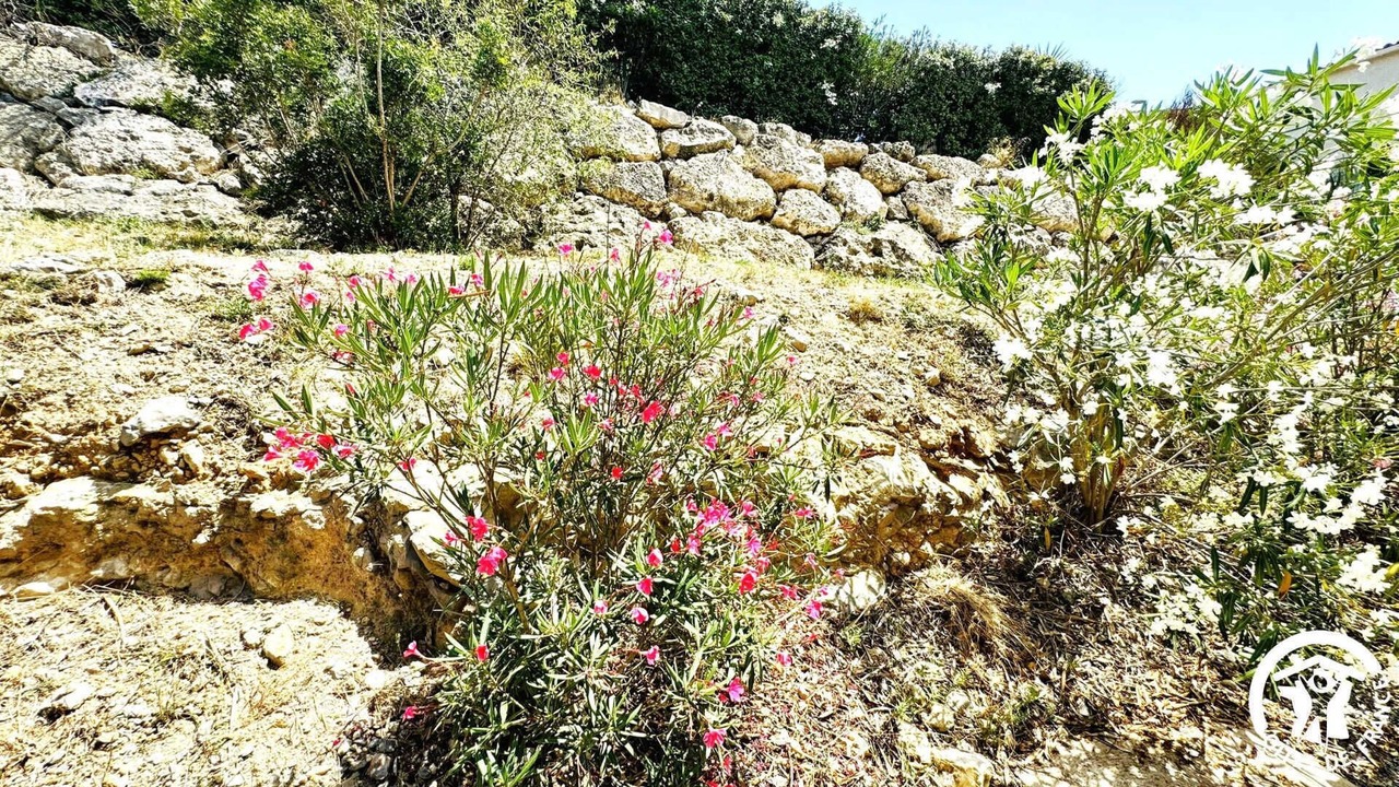 Photo of Outdoor in Leucate