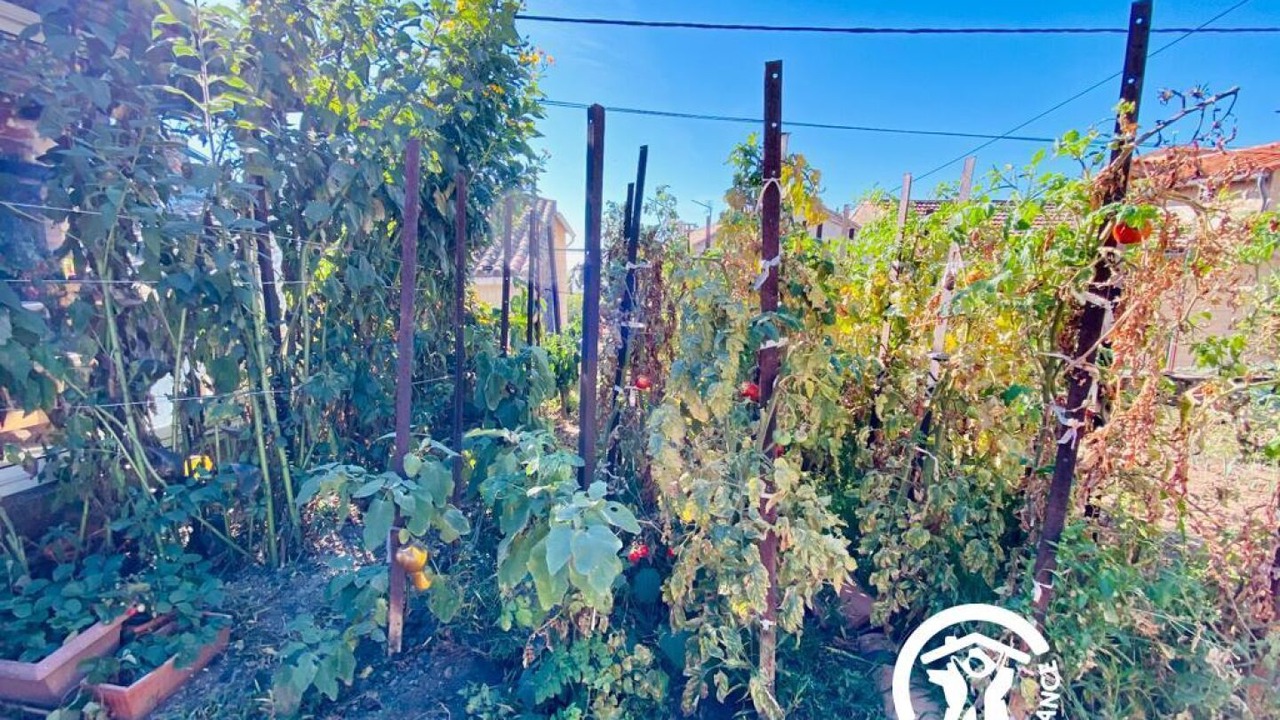 Photo of Outdoor in Villaniere