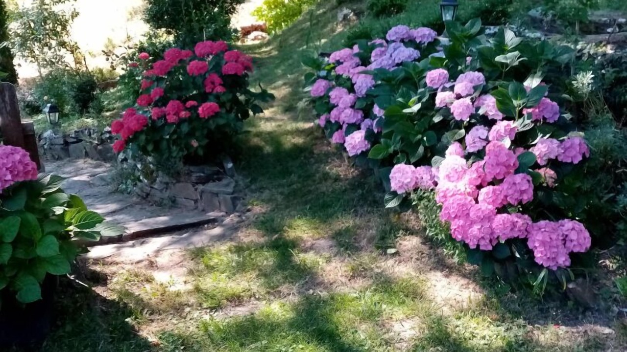 Photo of Outdoor in Caunes-Minervois