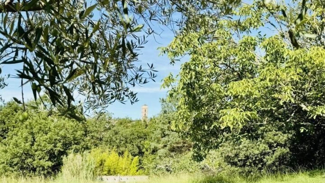 Photo of Outdoor in Montolieu