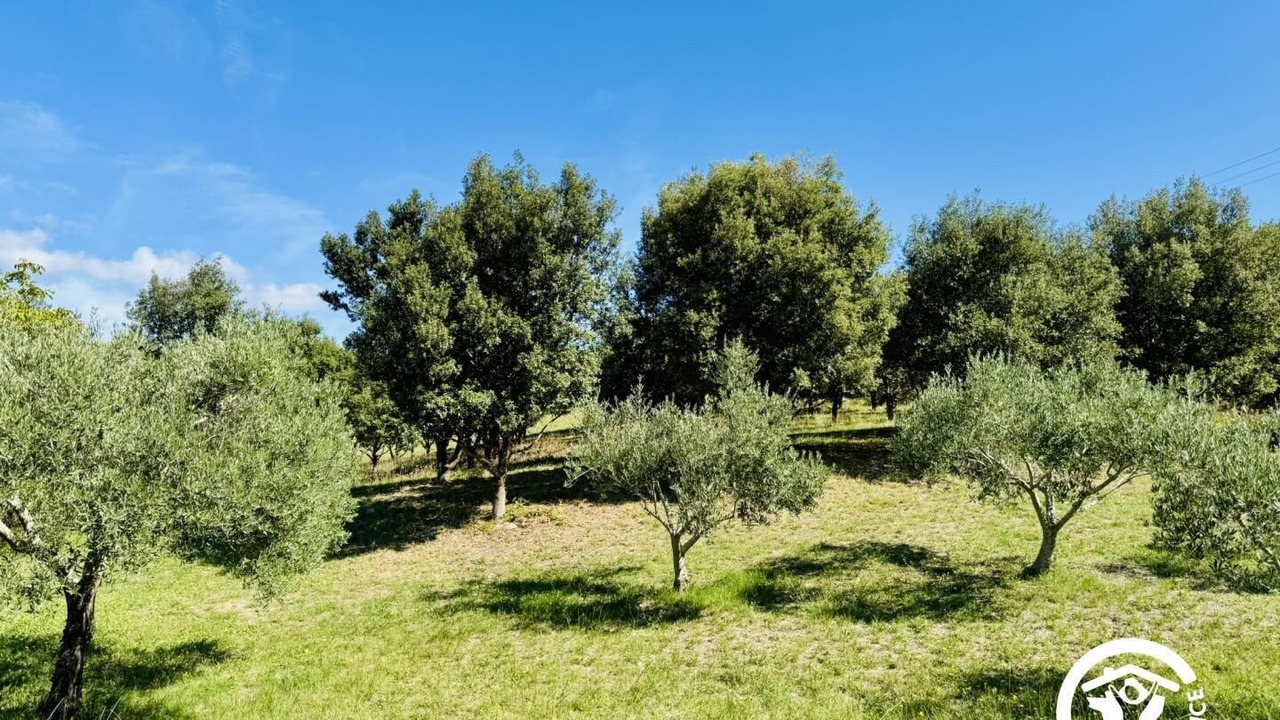 Photo of Others in Montolieu