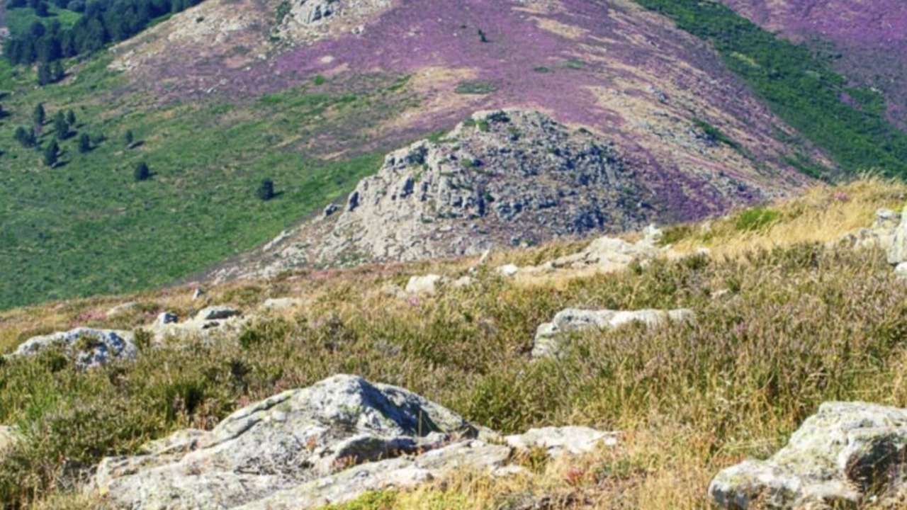 Photo of Others in Dio-et-Valquieres