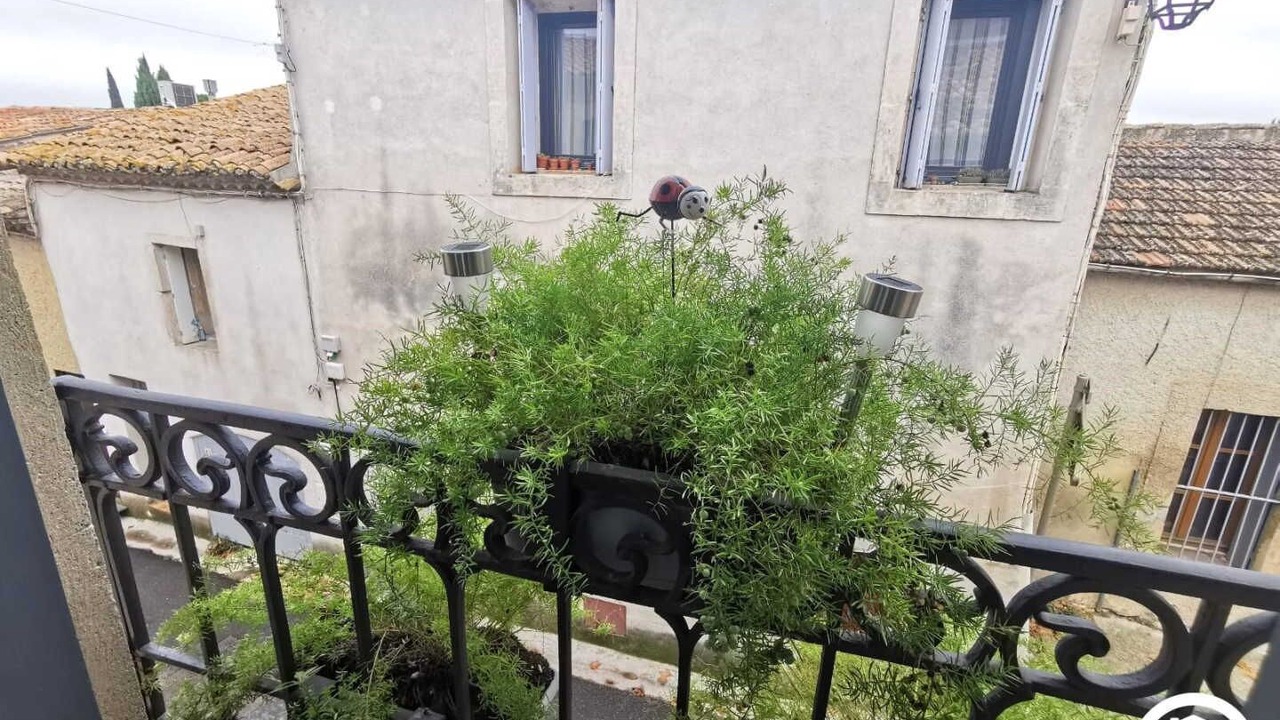 Photo of Outdoor in Assas