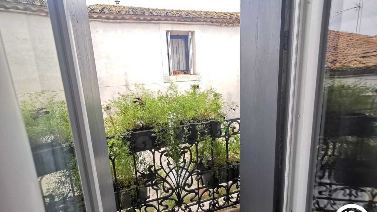 Photo of Others in Assas