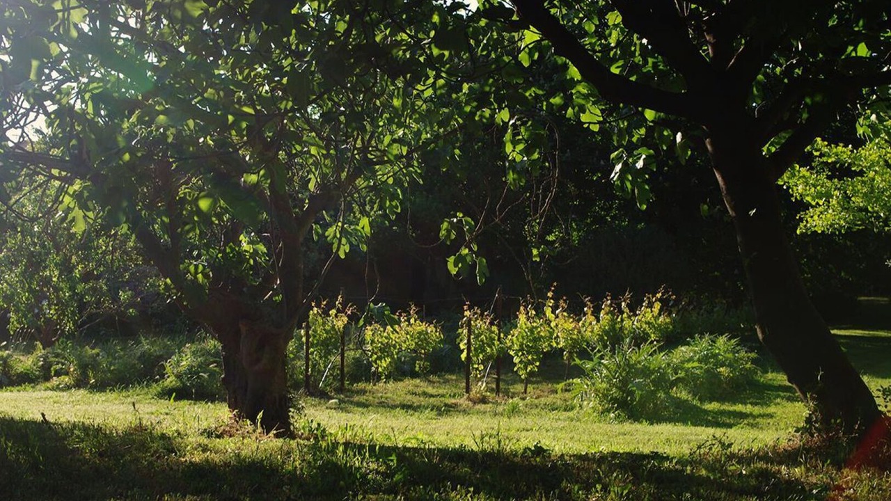 Photo of Outdoor in Poussan