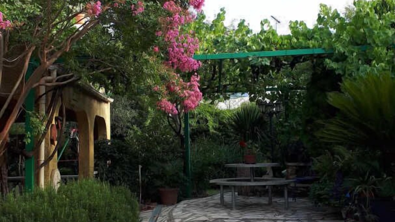 Photo of Patio Balcony in Boisseron