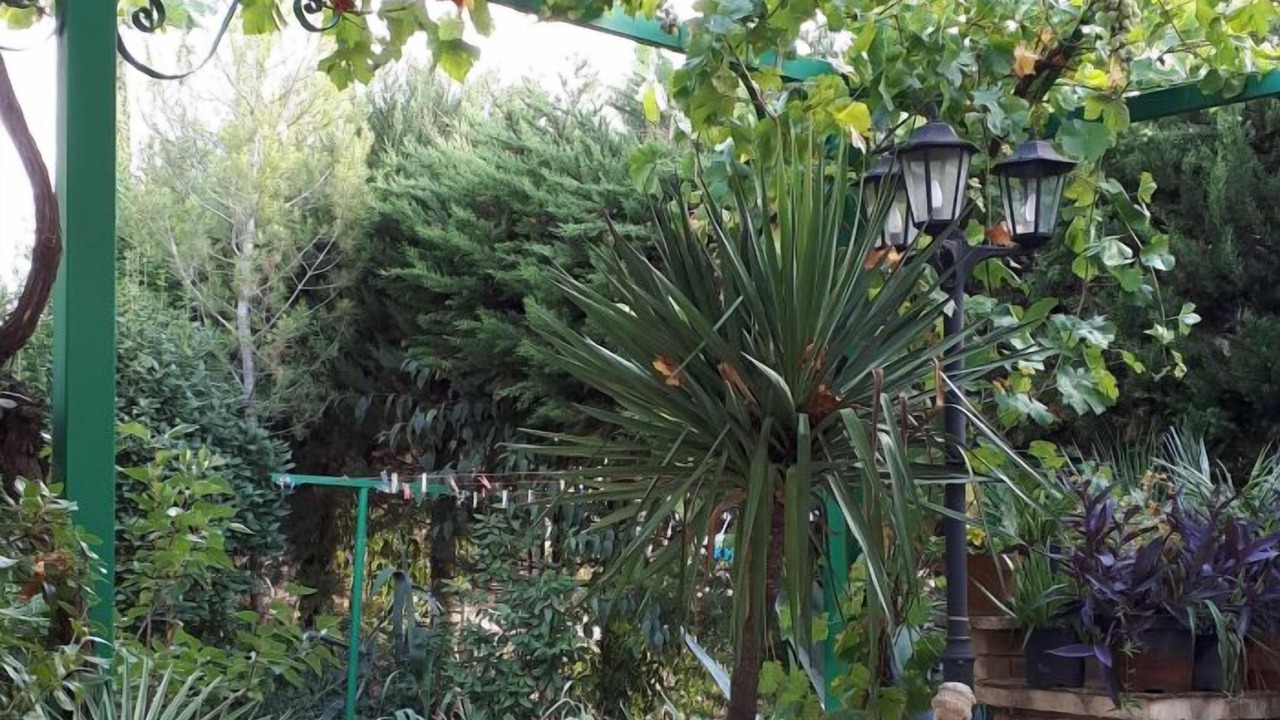 Photo of Outdoor in Boisseron