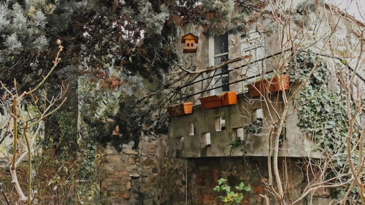 Photo of Outdoor in Saint-Etienne-de-Gourgas