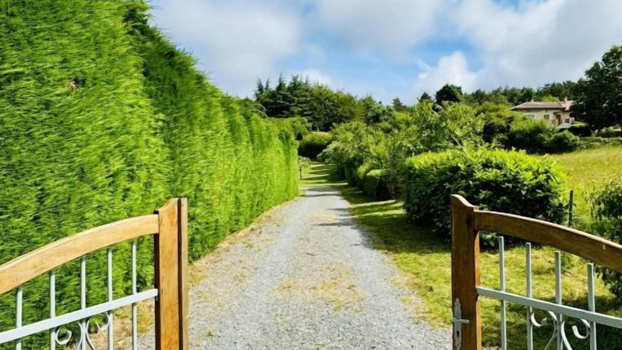 Photo of Outdoor in Les Martys