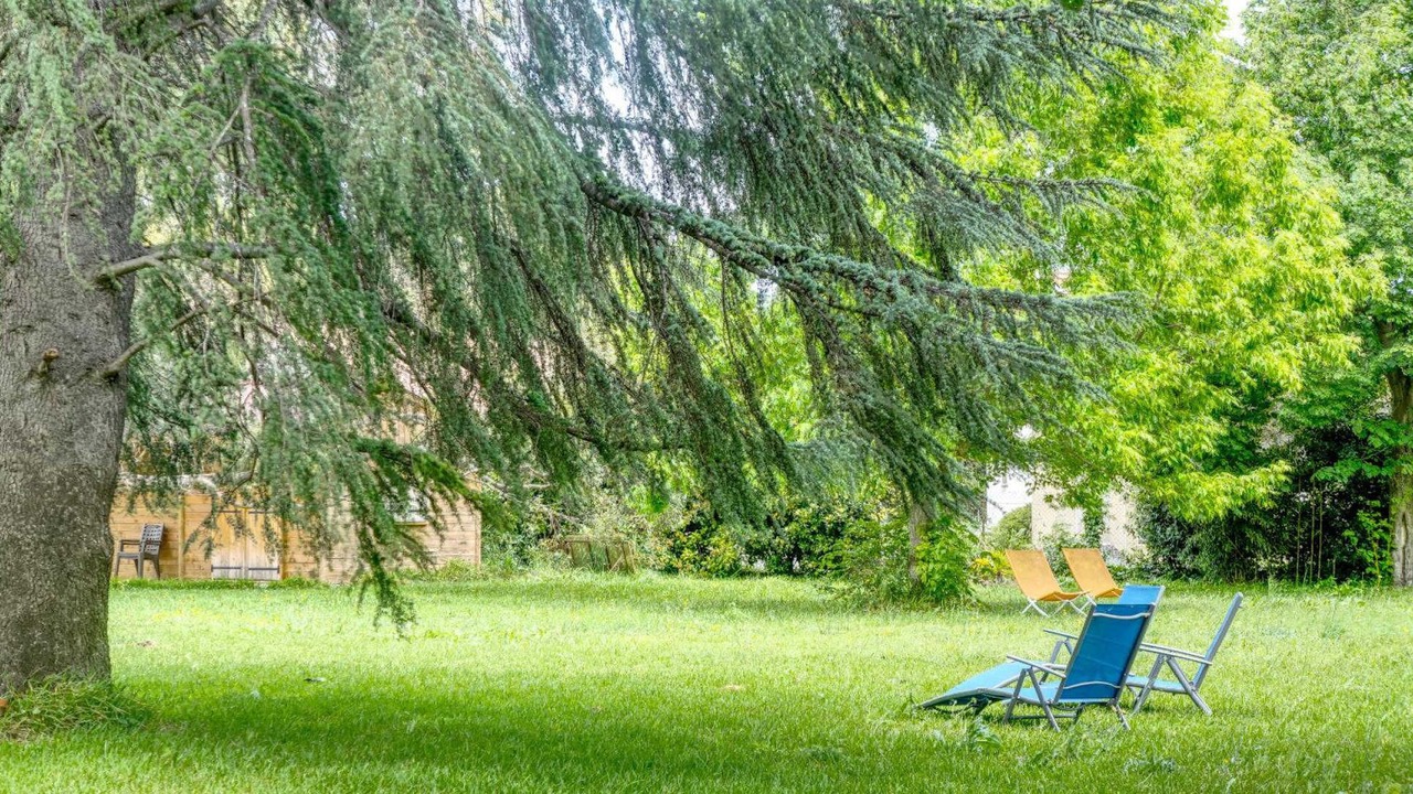 Photo of Outdoor in Latour-Bas-Elne