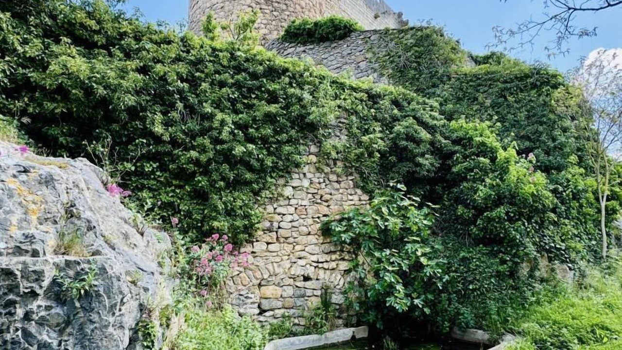 Photo of Others in Villerouge-Termenes