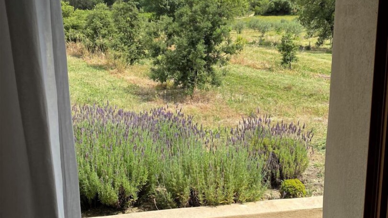 Photo of Others in Argeliers