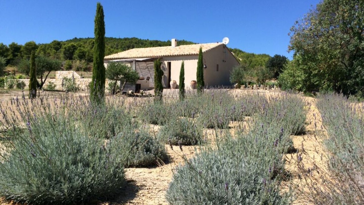 Photo of Outdoor in Argeliers