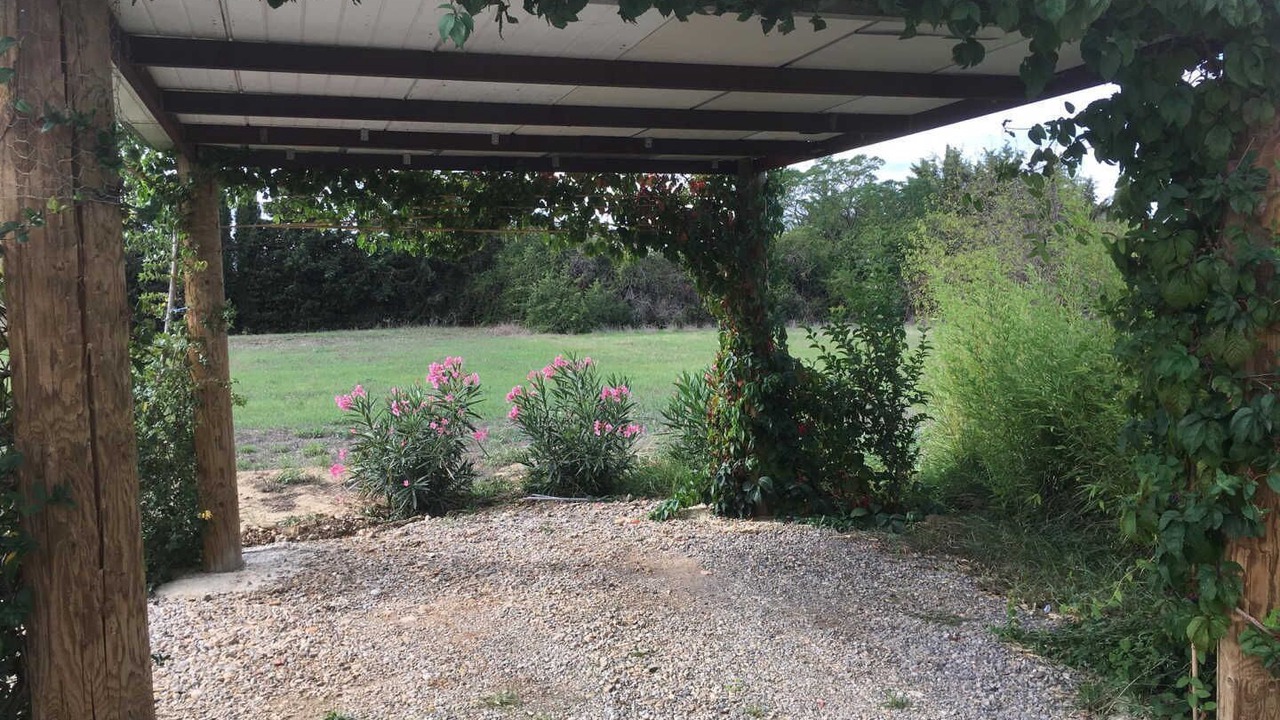 Photo of Outdoor in Canet