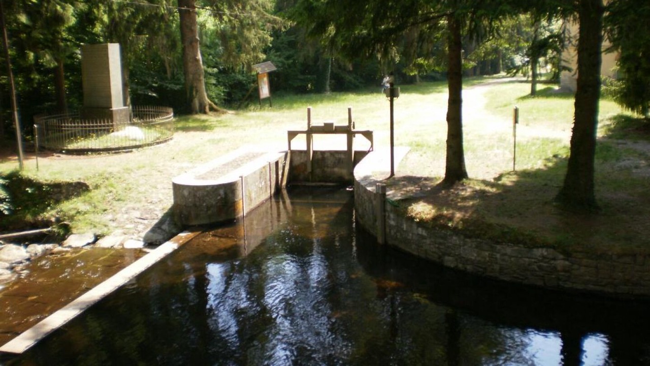 Photo of Others in Lacombe