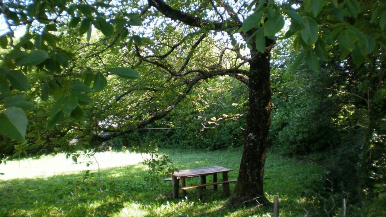 Photo of Outdoor in Lacombe