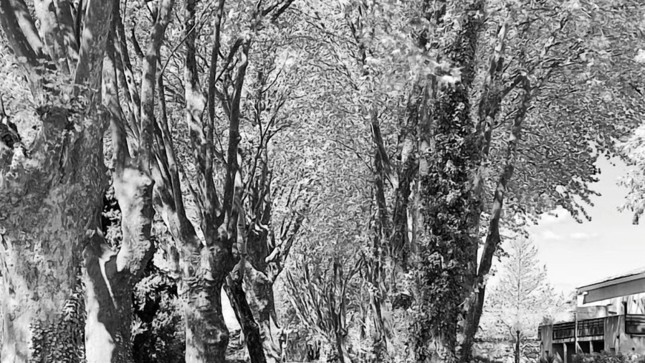 Photo of Others in Saint-Esteve