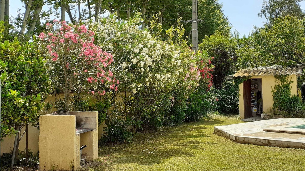 Photo of Outdoor in Saint-Esteve