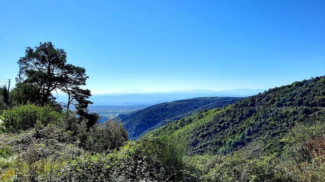 Photo of Others in Caunes-Minervois