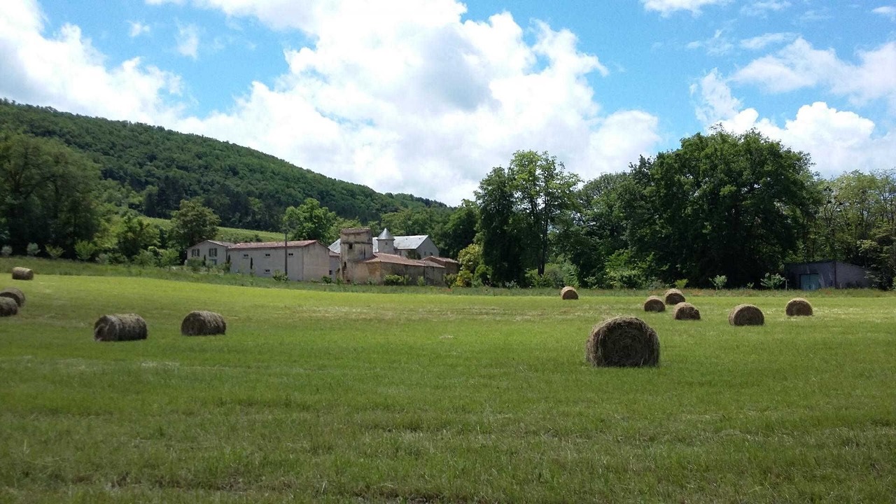 Photo of Others in Bouriege