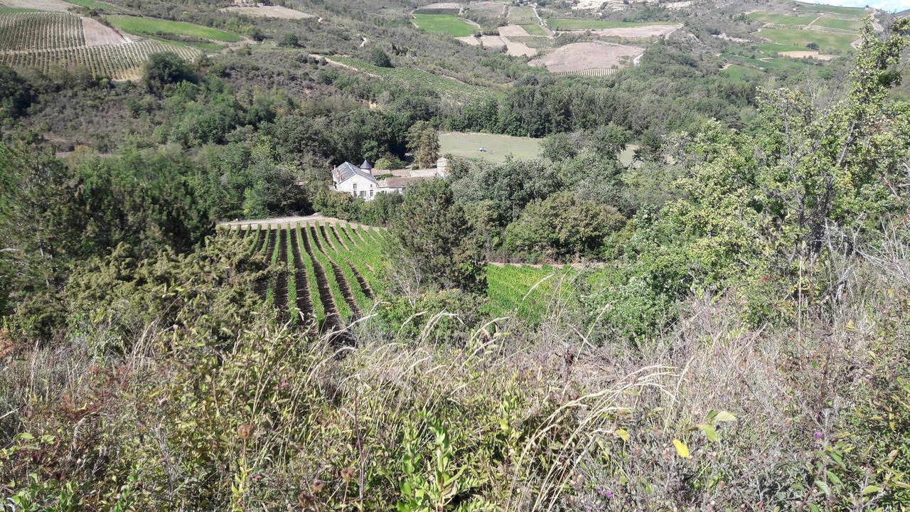 Photo of Others in Bouriege