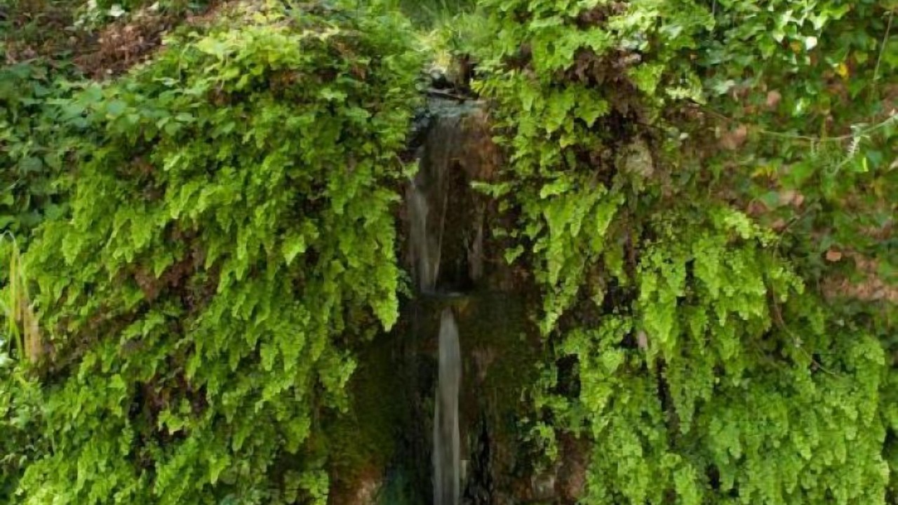 Photo of Others in Embres-et-Castelmaure