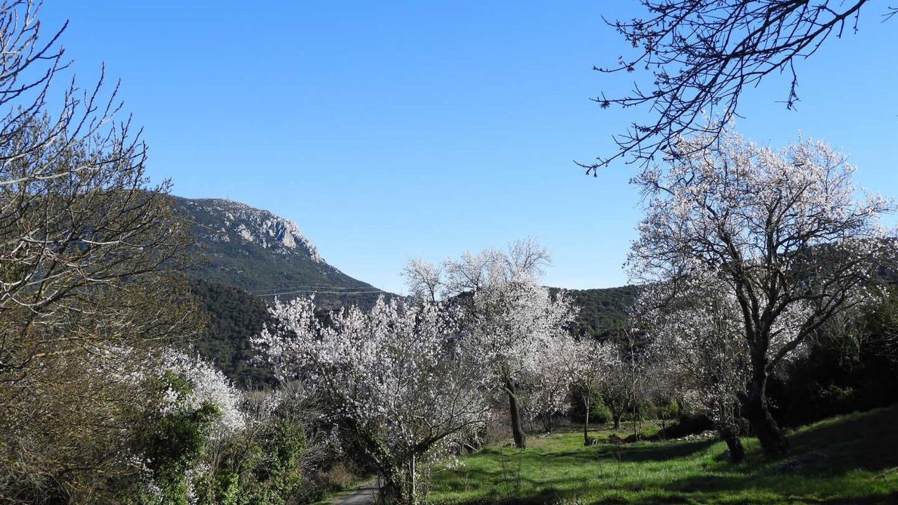 Photo of Others in Montgaillard