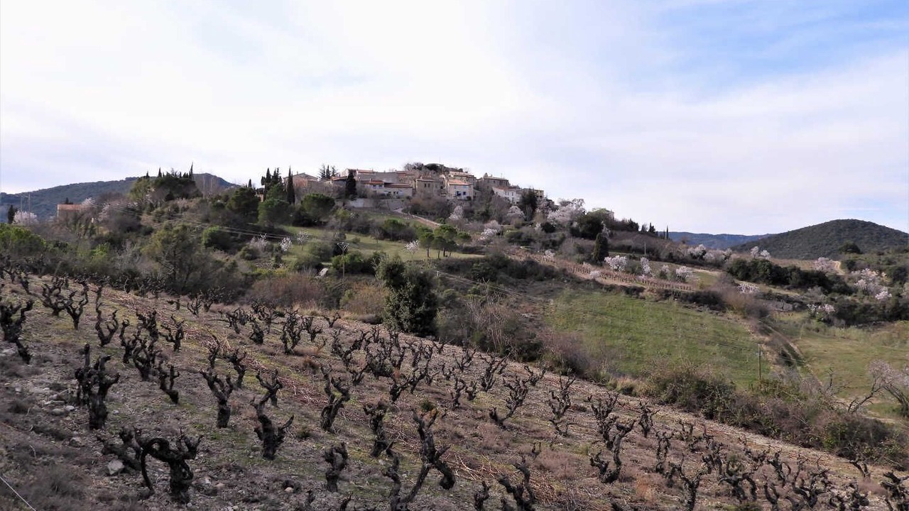 Photo of Others in Montgaillard