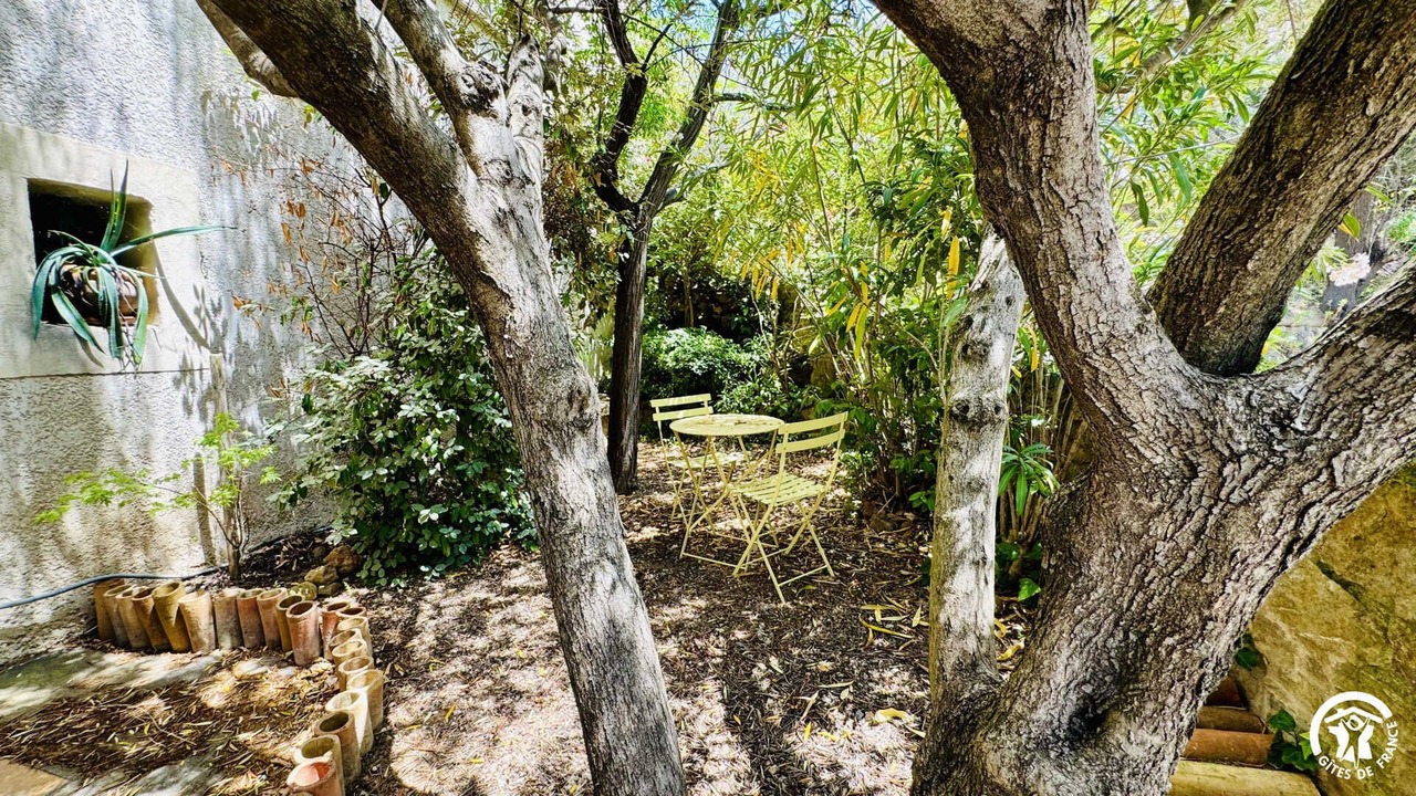 Photo of Outdoor in Saint-Jean-de-Barrou