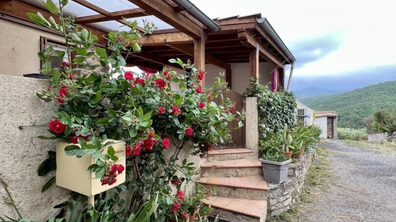 Photo of Outdoor in Quintillan