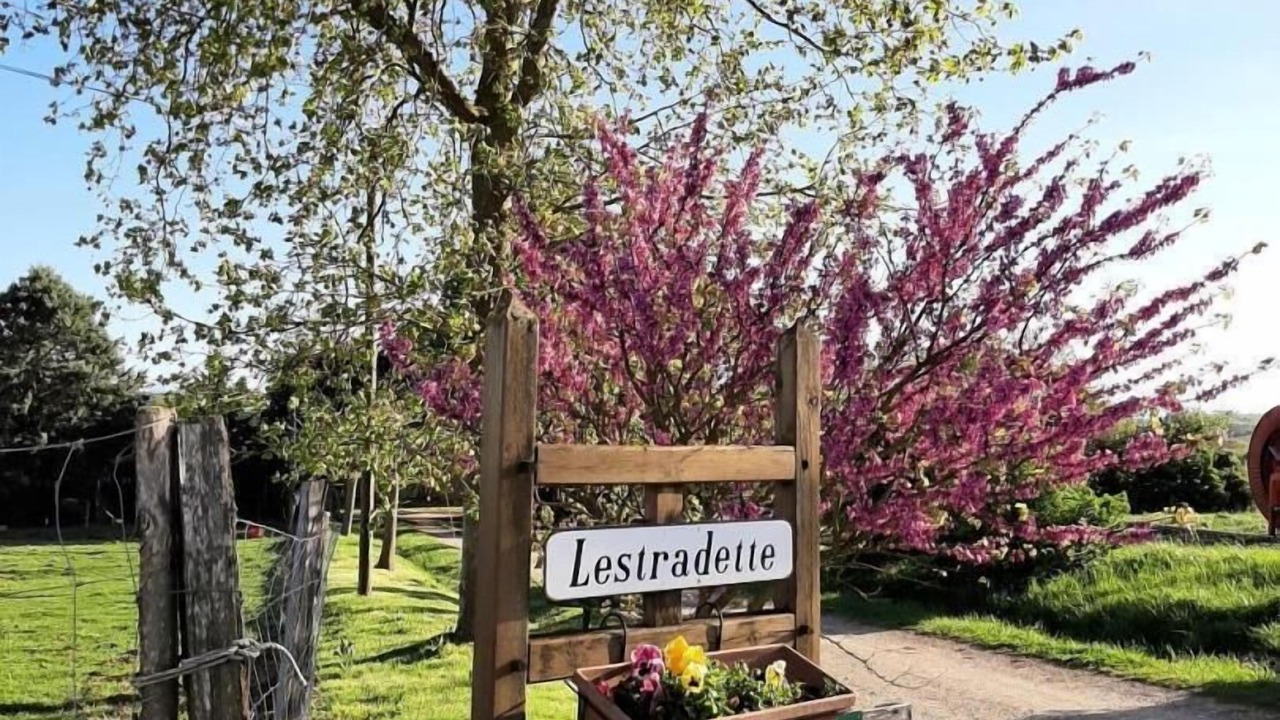 Photo of Outdoor in Plaigne