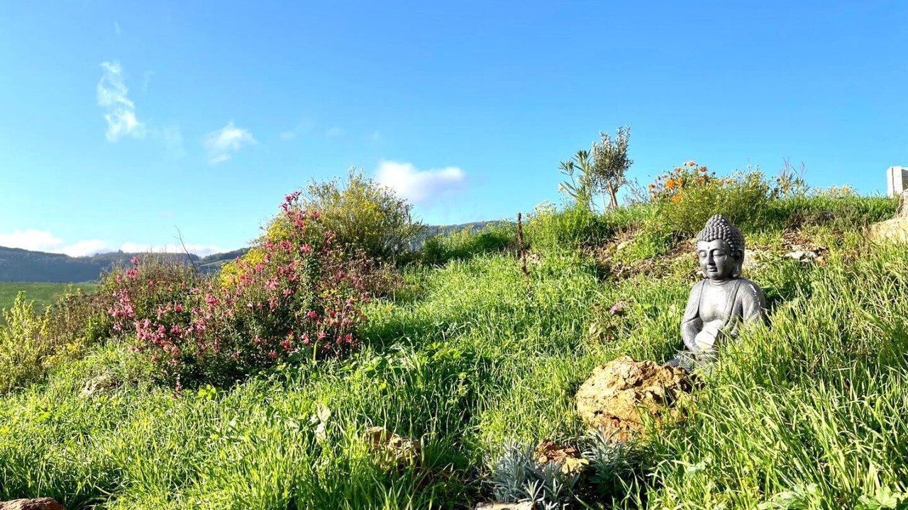 Photo of Outdoor in Albieres