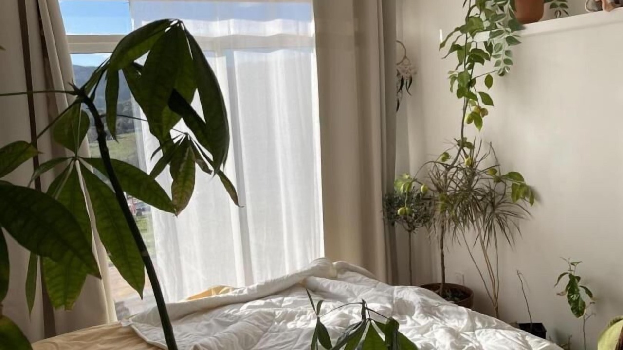Photo of Bedroom in Albieres