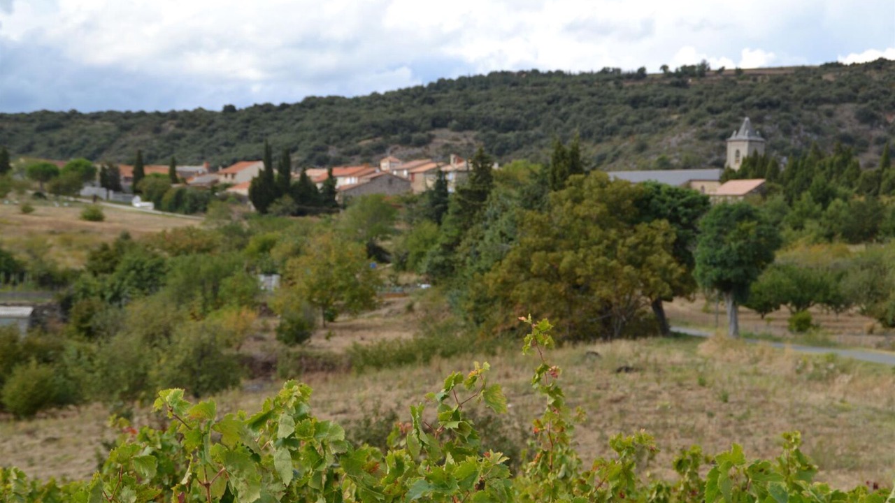 Photo of Others in Limousis