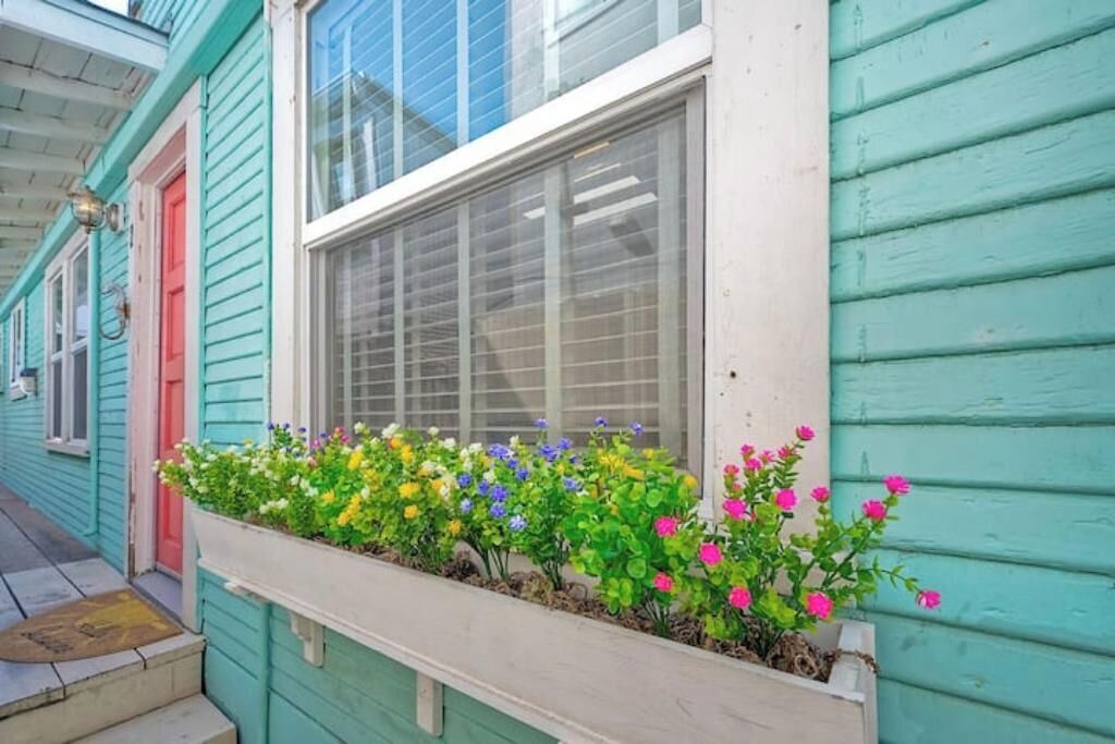 Photo of Outdoor in Central Mission Beach