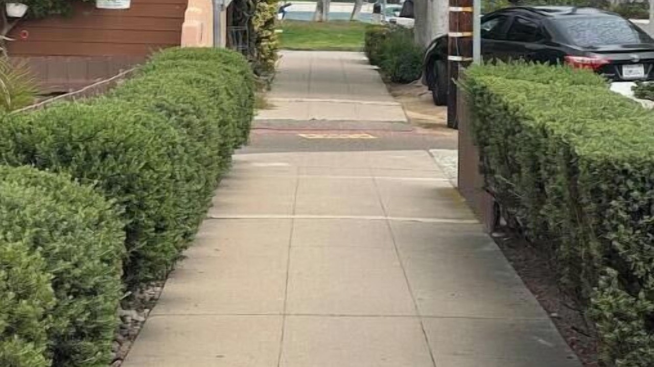 Photo of Outdoor in Central Mission Beach