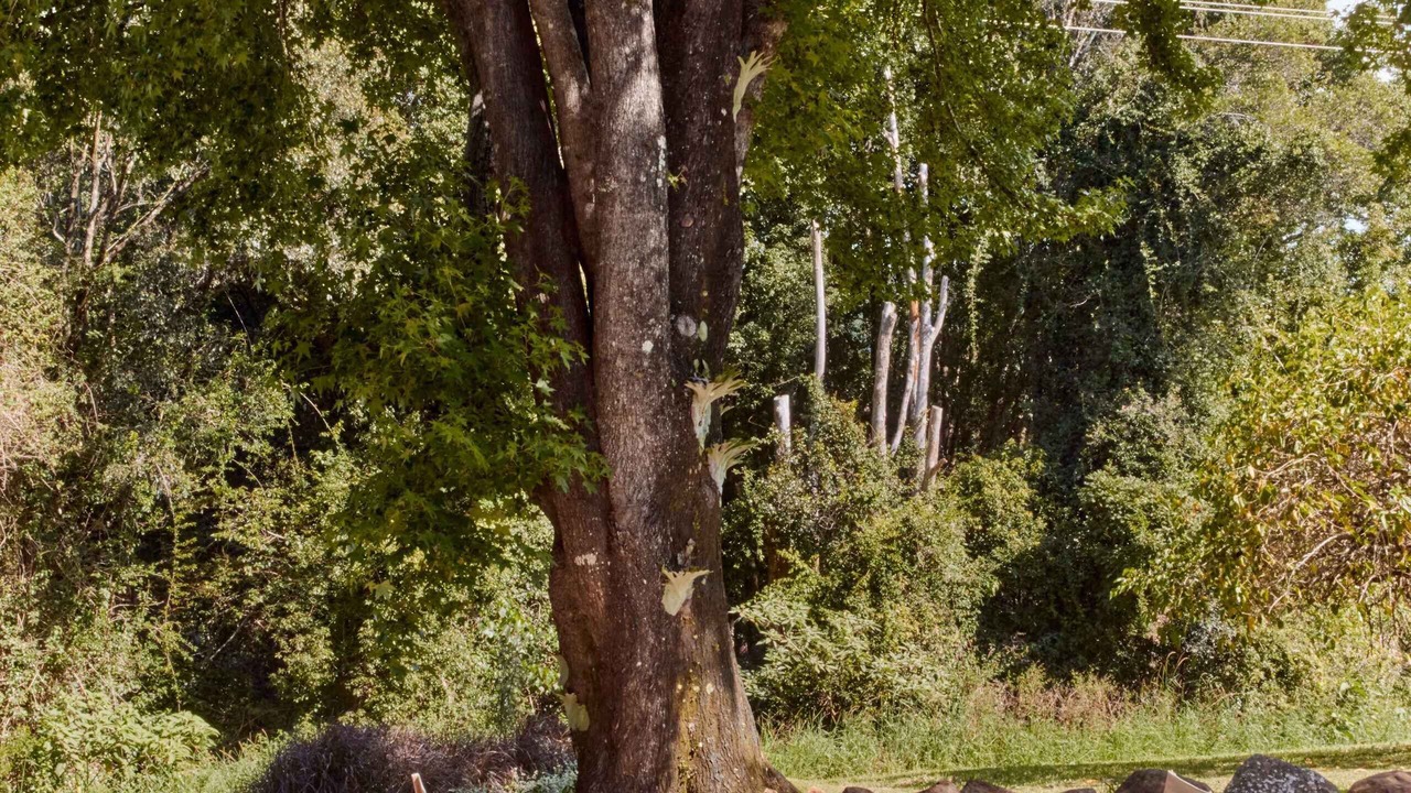 Photo of Outdoor in Goonengerry
