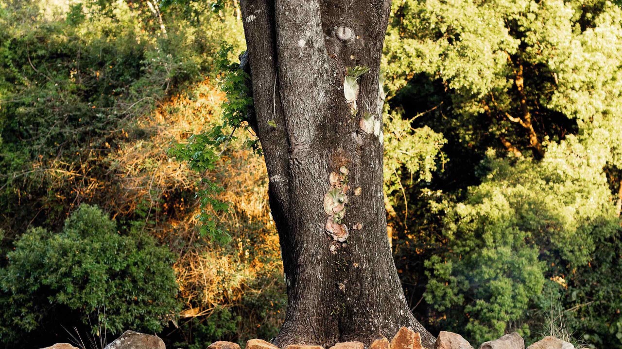 Photo of Outdoor in Goonengerry