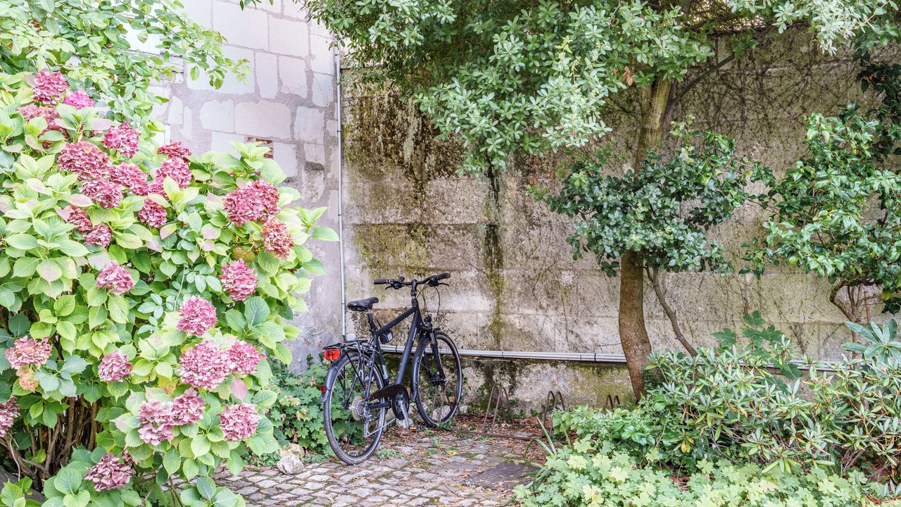 Photo of Outdoor in Old Town