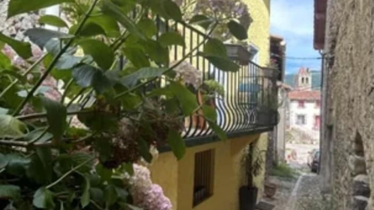 Photo of Outdoor in Prats-de-Mollo-la-Preste