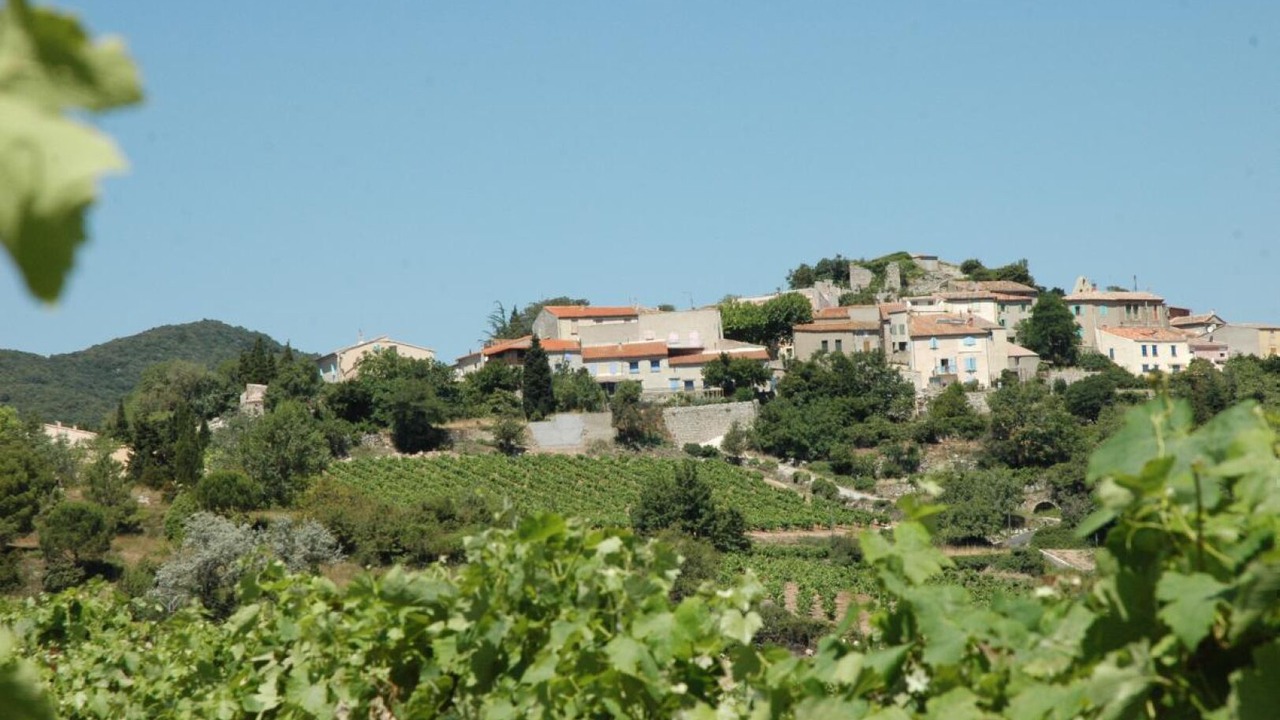 Photo of Others in Montgaillard