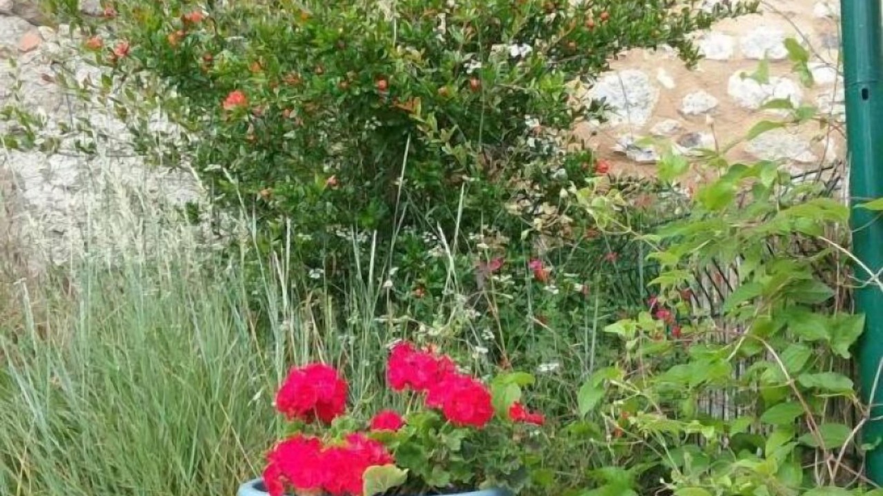 Photo of Outdoor in Montgaillard