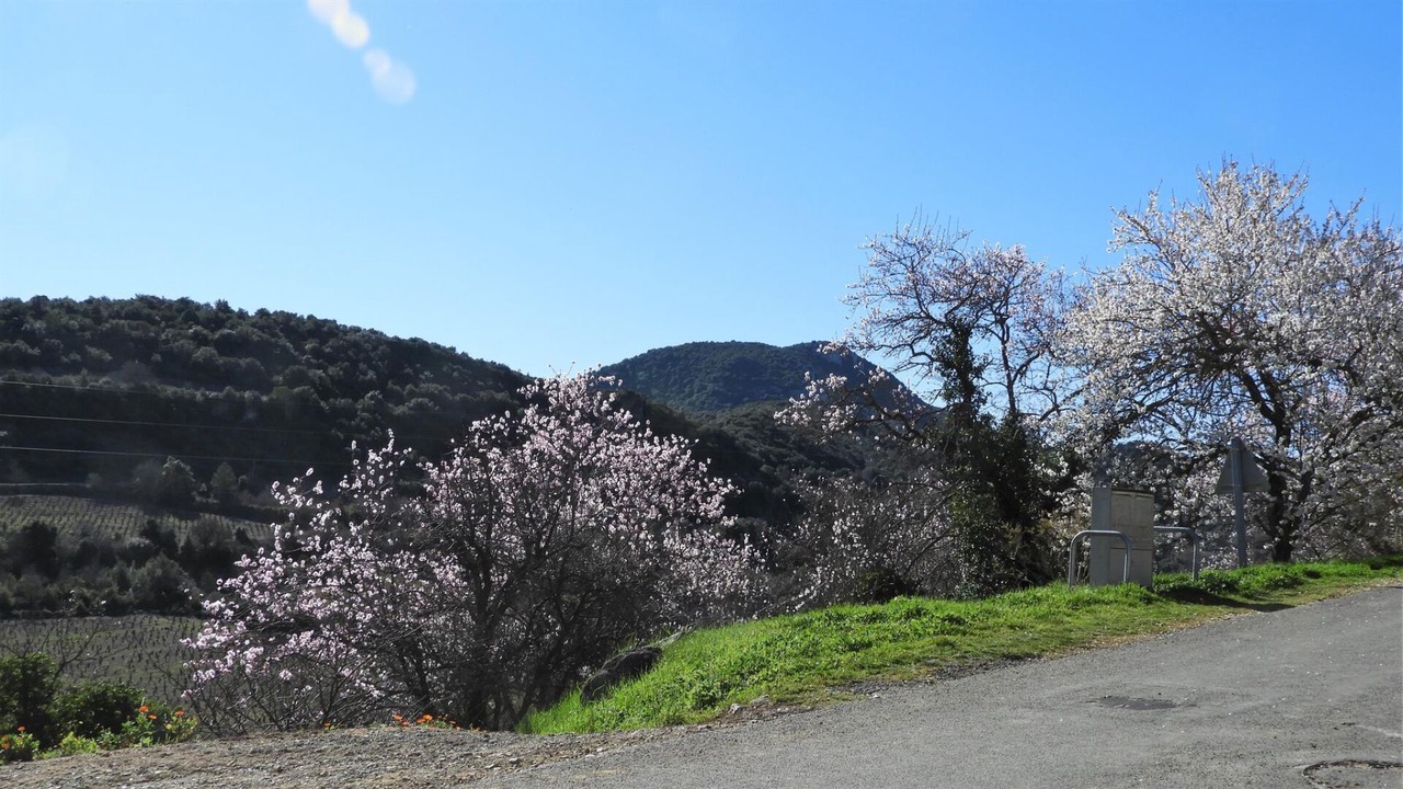 Photo of Others in Montgaillard