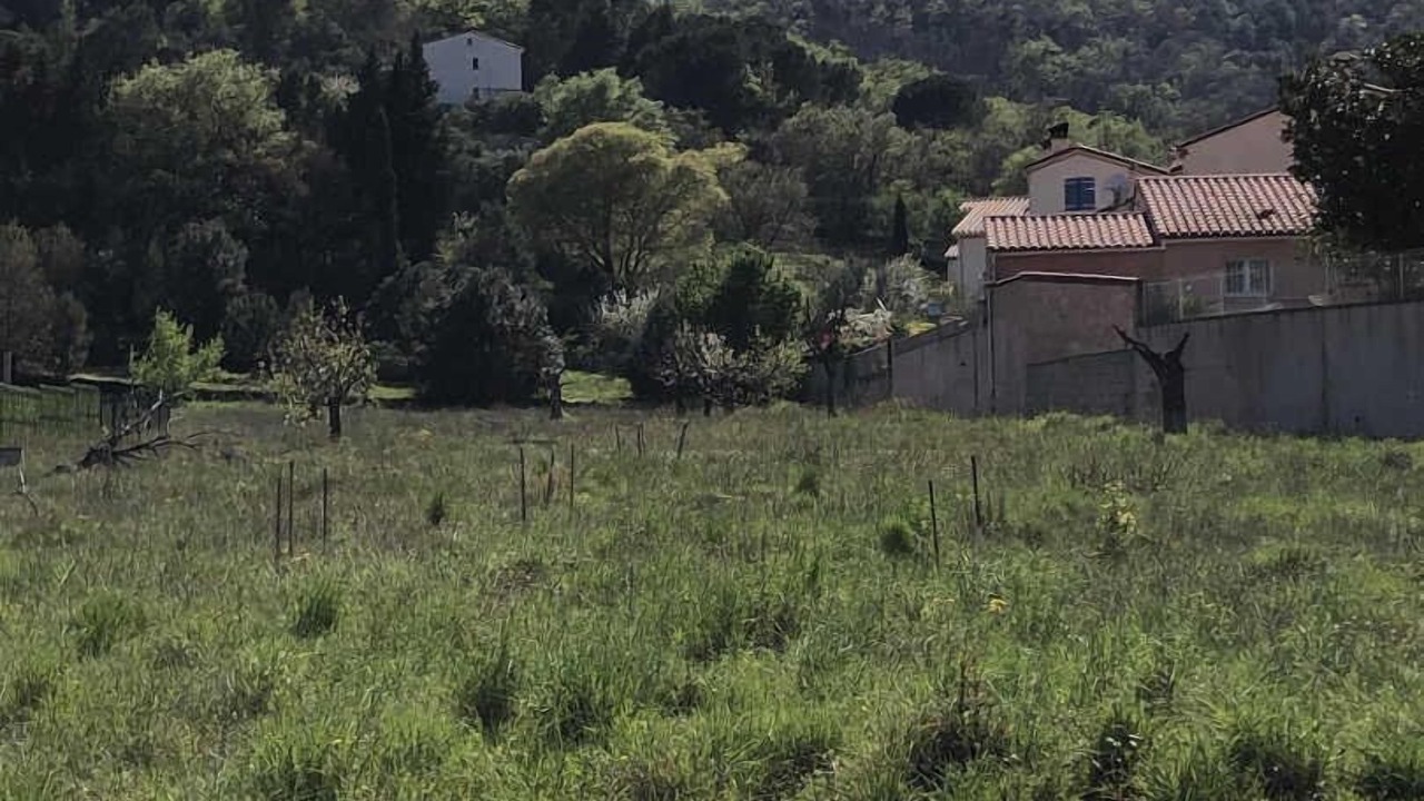 Photo of Others in Ceret