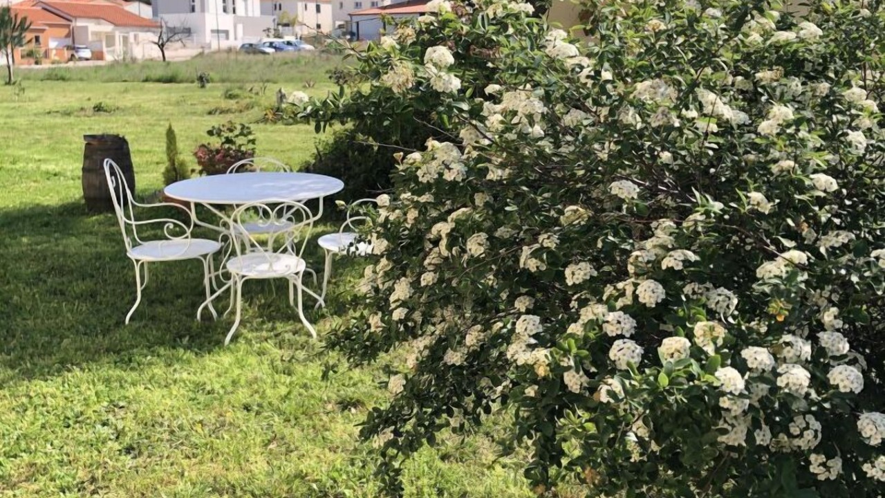 Photo of Outdoor in Ceret