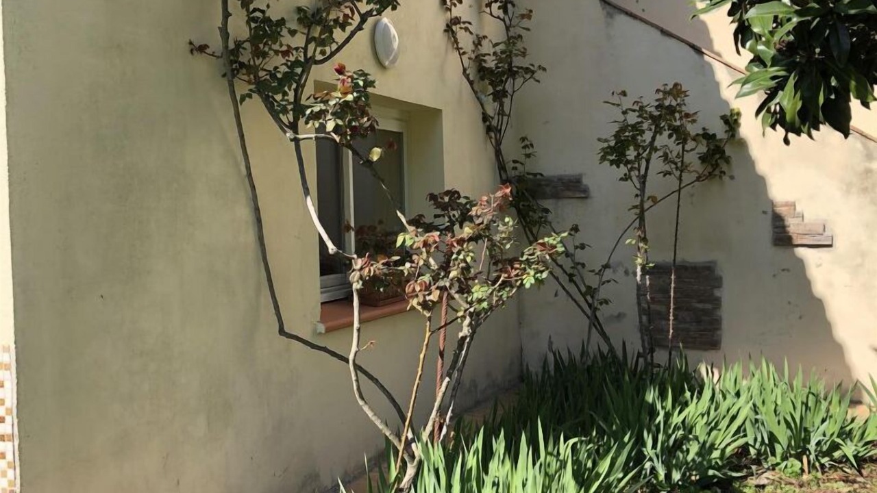 Photo of Outdoor in Ceret