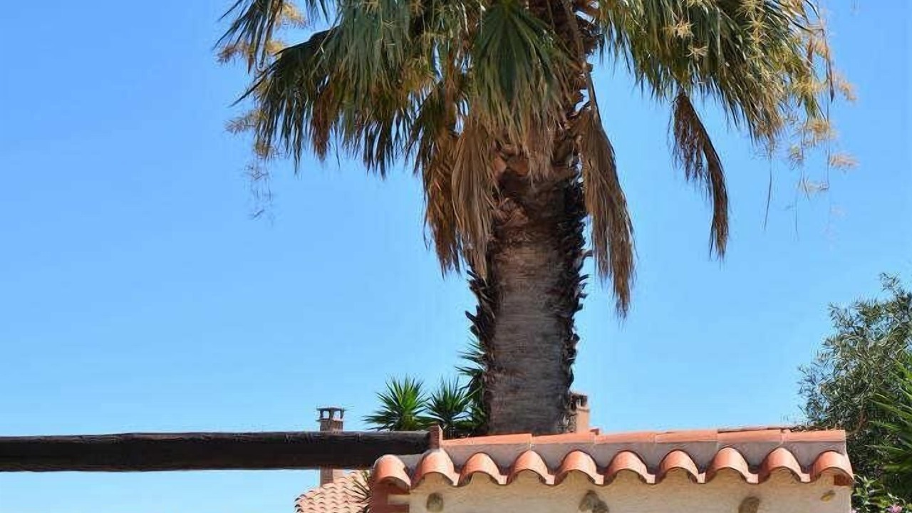 Photo of Outdoor in Bages