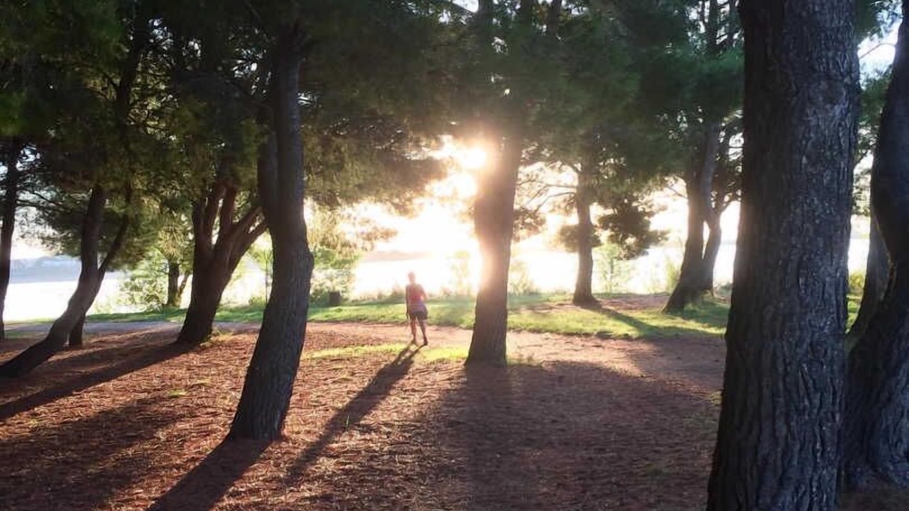 Photo of Others in Bages