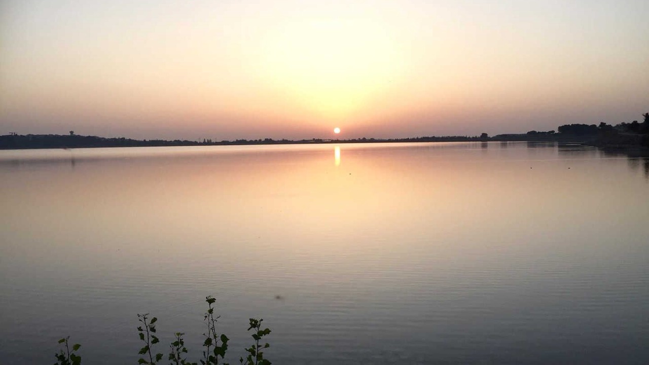 Photo of Others in Bages