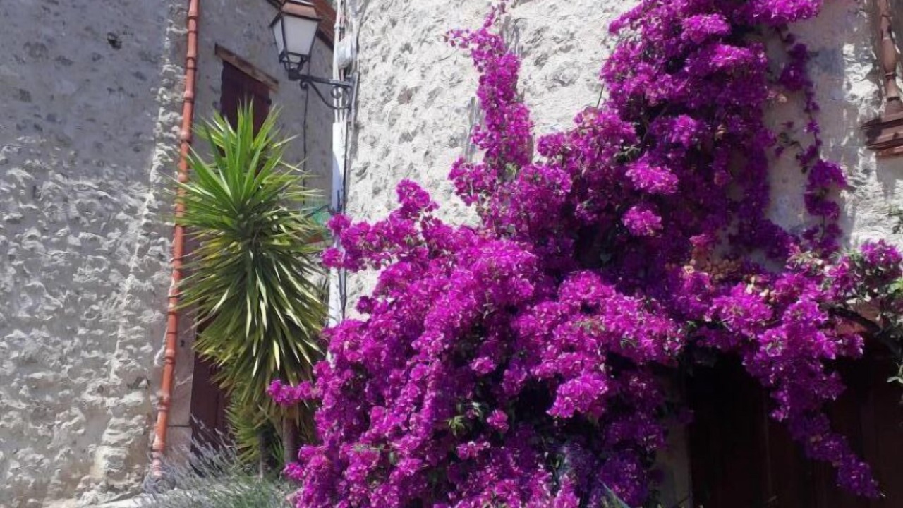 Photo of Outdoor in Eus